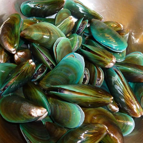 Green Mussels Fish With Shell Hook Catch Seafood