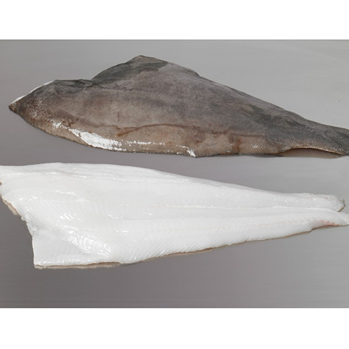 Indian Halibut Fish Fillets Skin On Hook Catch Seafood