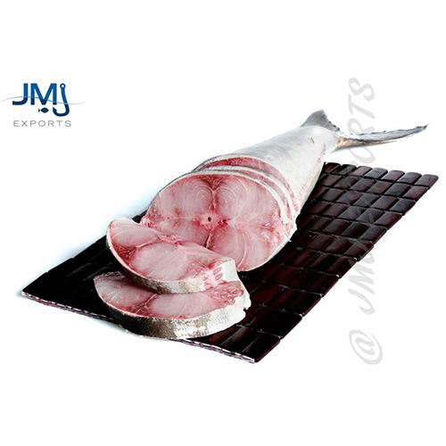cobia