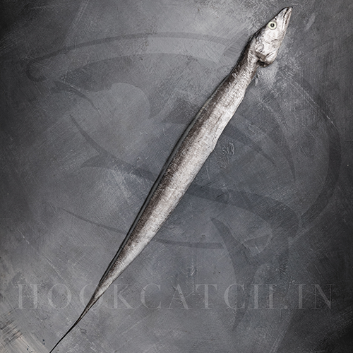Gilled & Gutted