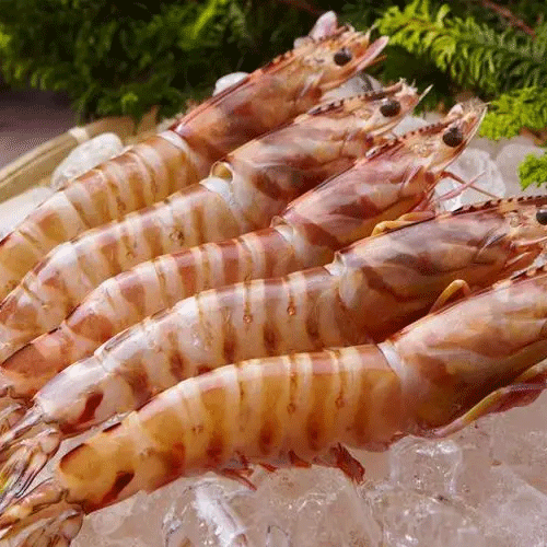 crustaceans