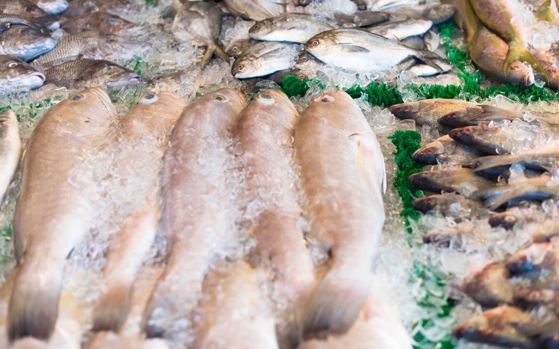 Bulk Frozen Seafood Buying Savings