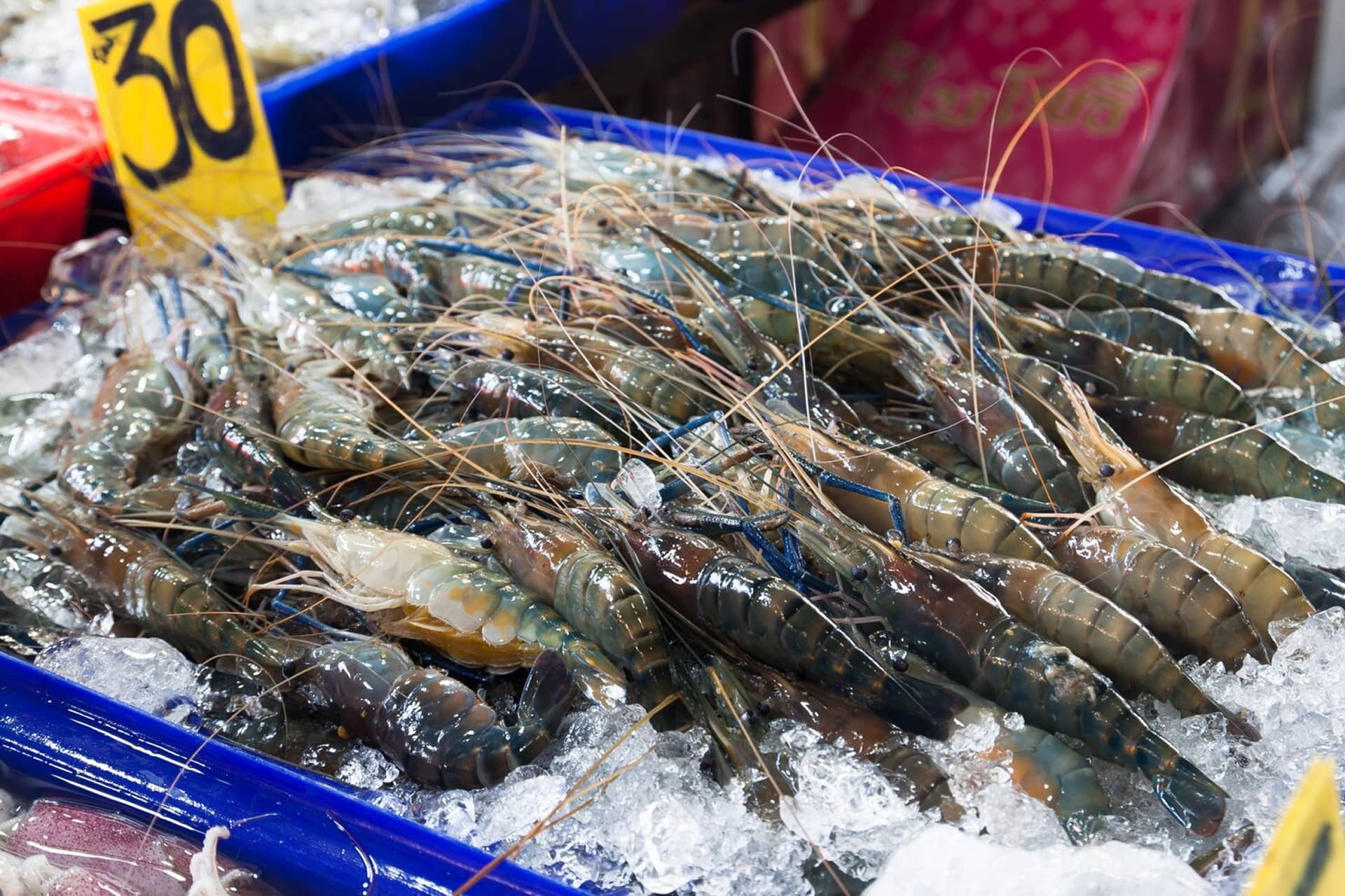 Seafood Seasonality in India