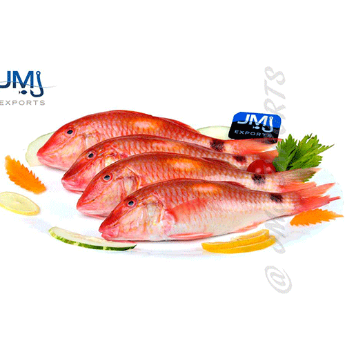 Red Mullet Fish Whole Round Hook Catch Seafood