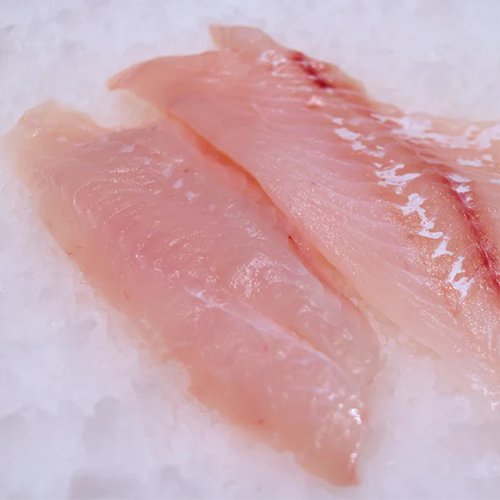 White Snapper Fish Fillet Skin Off Hook Catch Seafood